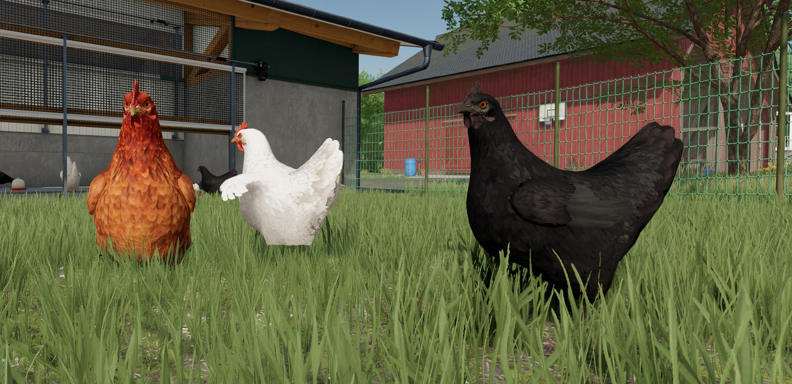 Guía Completa de las Gallinas en Farming Simulator 25